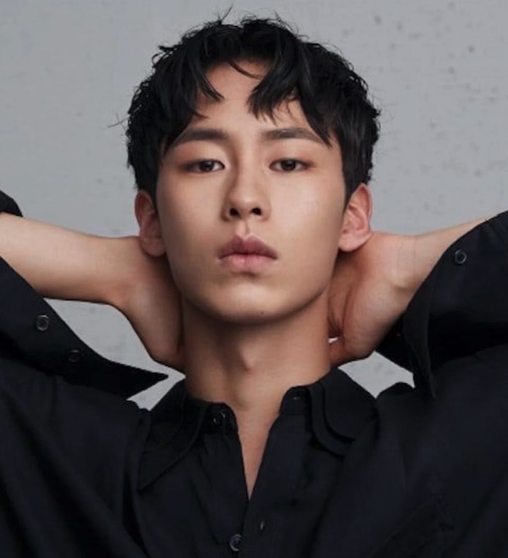 Lee Jae-wook profile